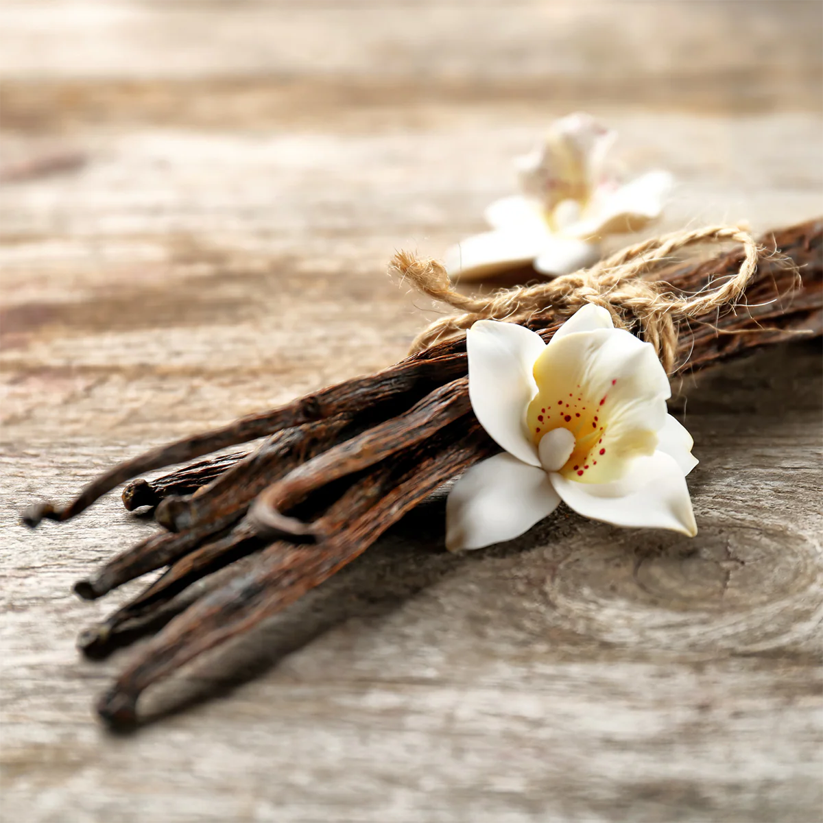 Cinnamon Fragrances